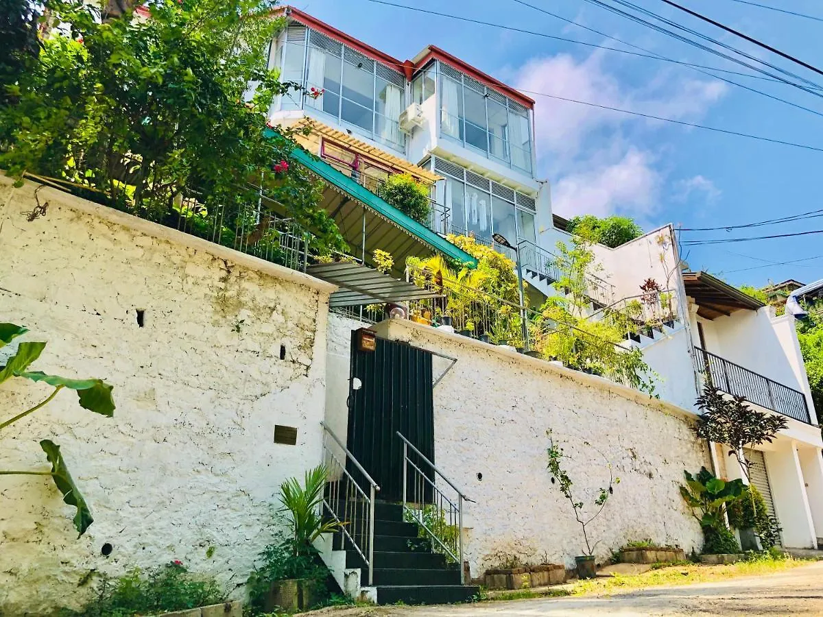 בית הארחה קנדי Blossom Rest