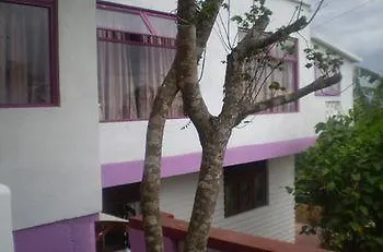 Blossom Rest Kandy